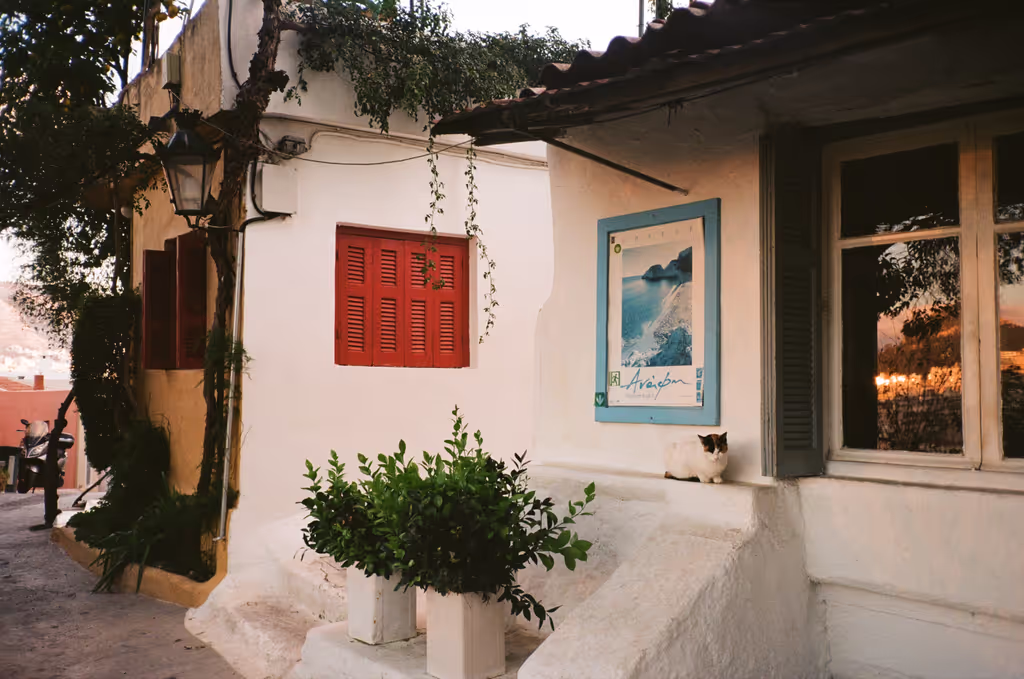 blog image