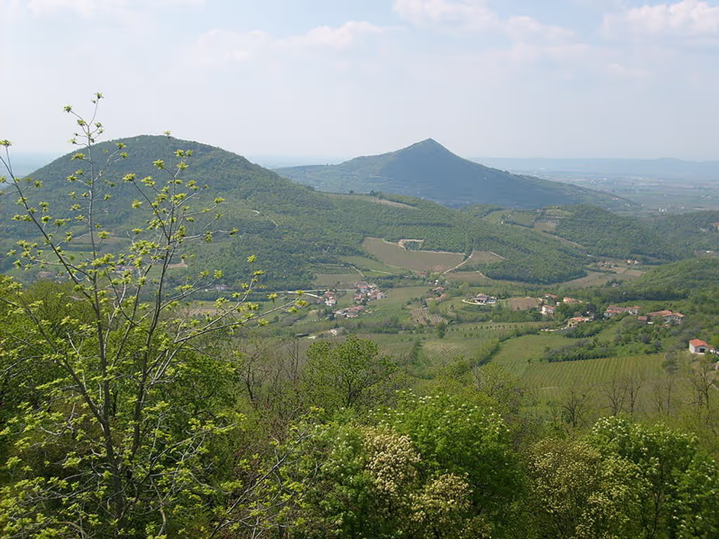 blog image
