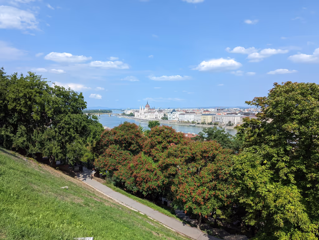 blog image