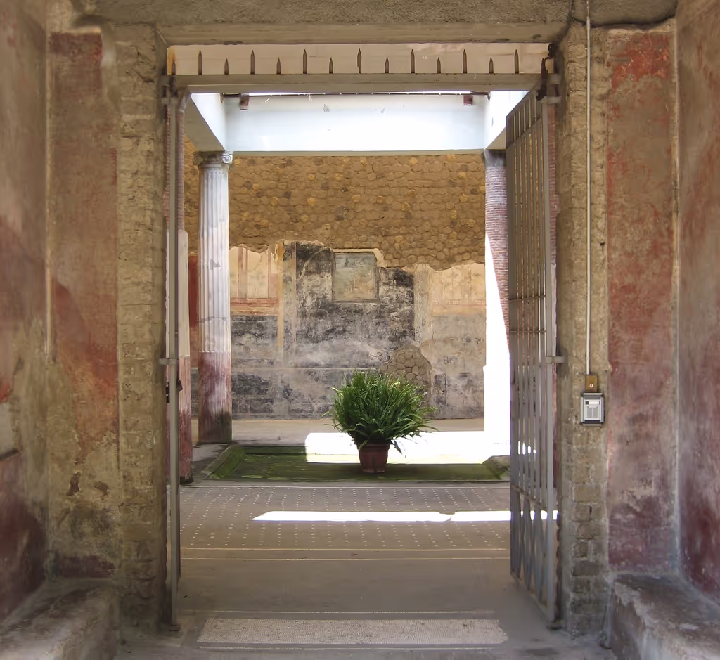 blog image