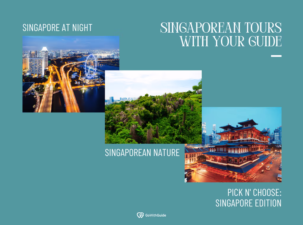 A graphic highlighting potential tour venues in Singapore with pictures of the night sky, and Singaporean greenery
