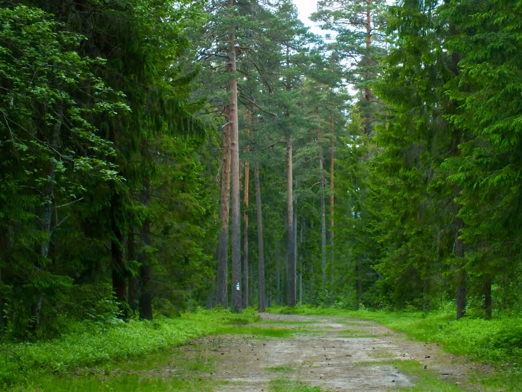 blog image