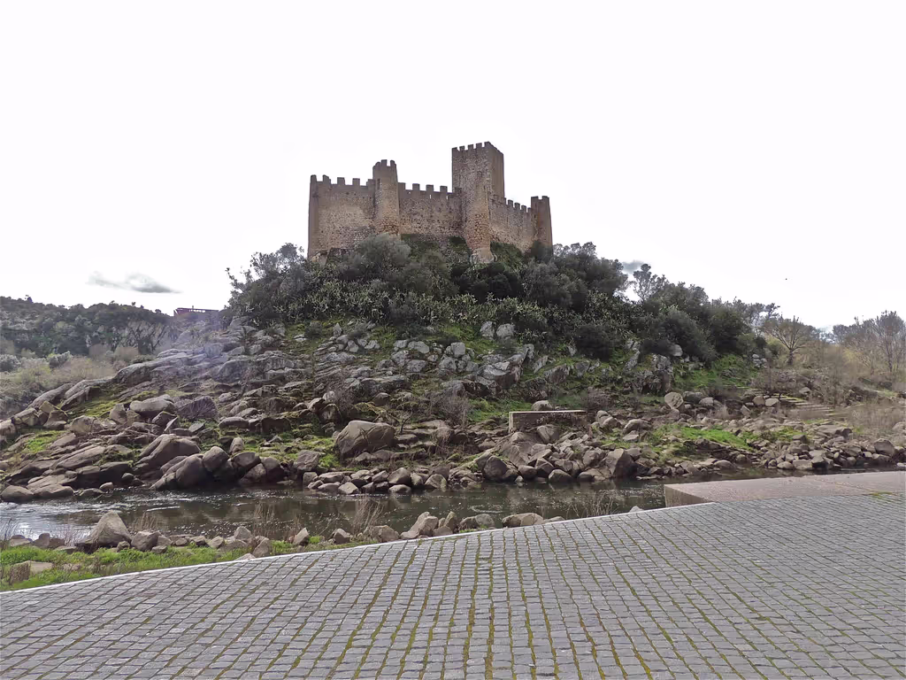 blog image