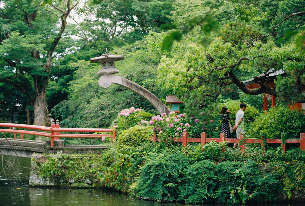 blog image