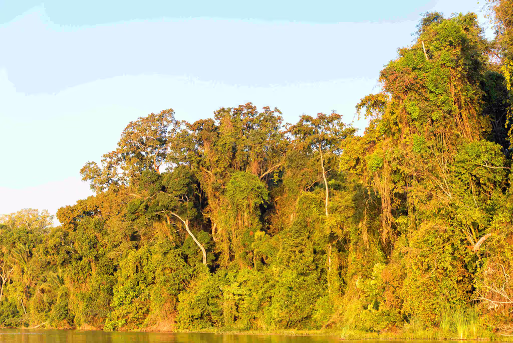 blog image