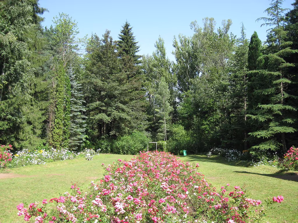 blog image