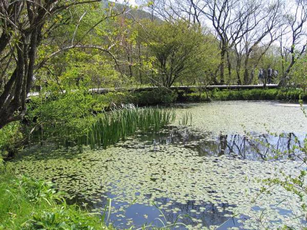 blog image