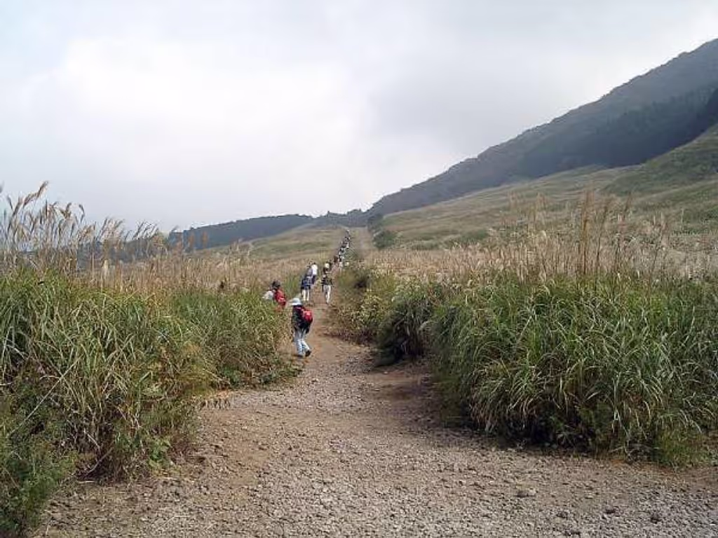 blog image