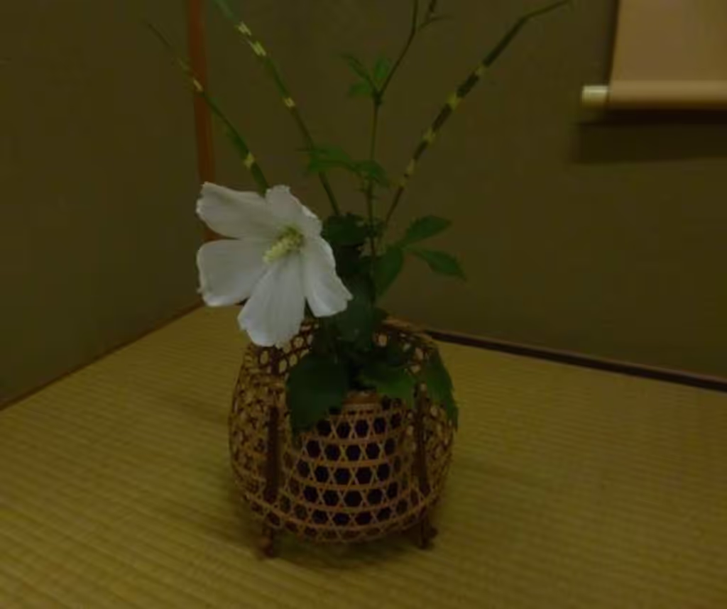 blog image