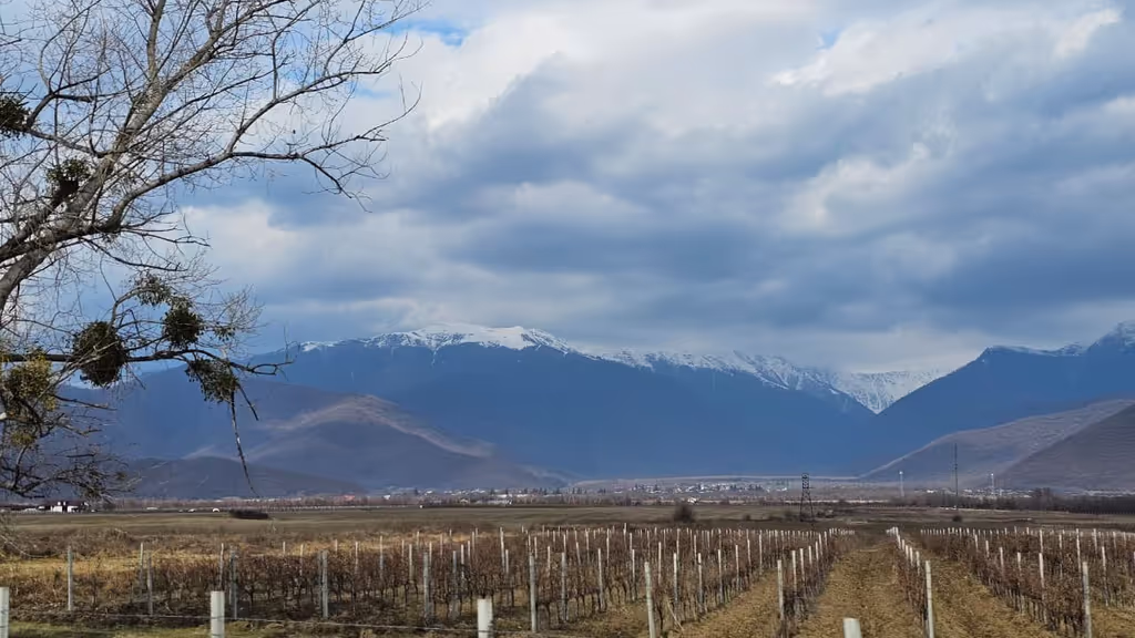 Tbilisi Private Tour - 