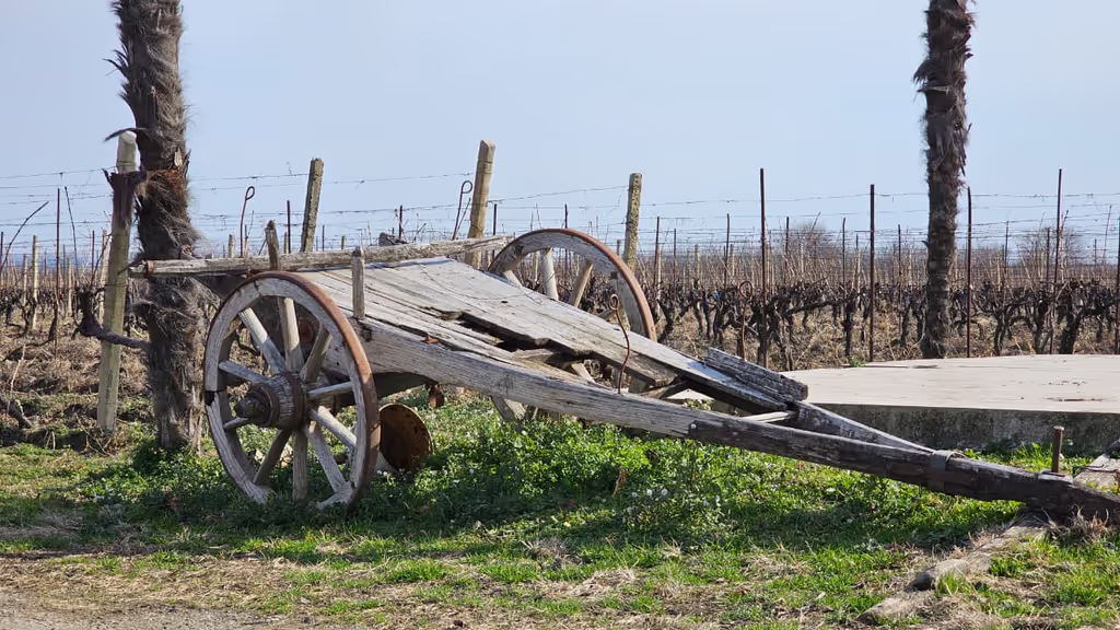 Tbilisi Private Tour - 