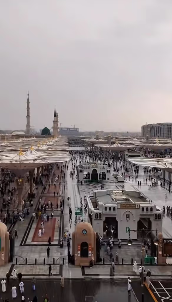 Al Madinah Private Tour - 