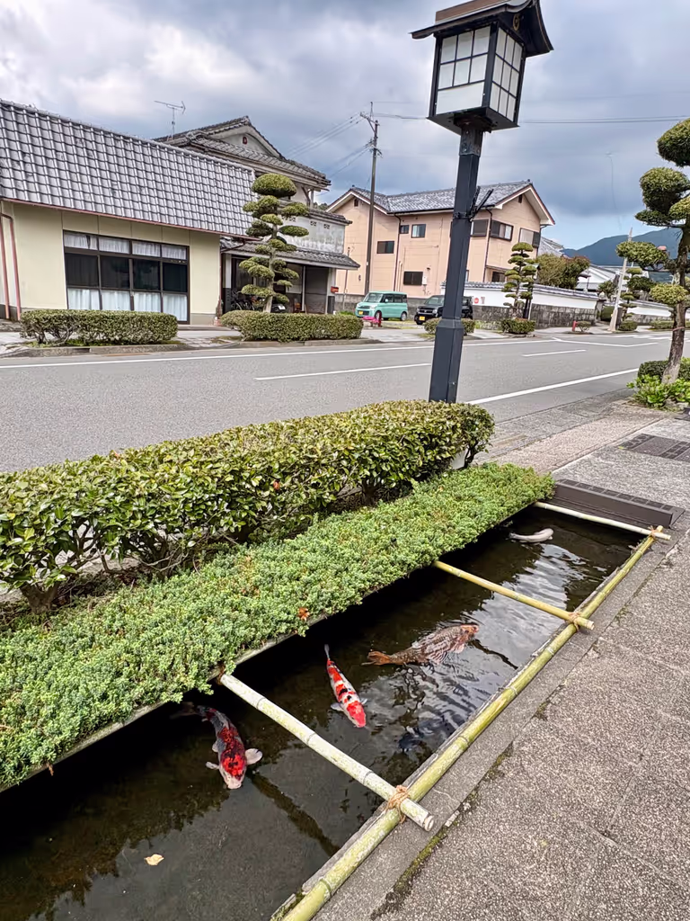 Kagoshima Private Tour - 