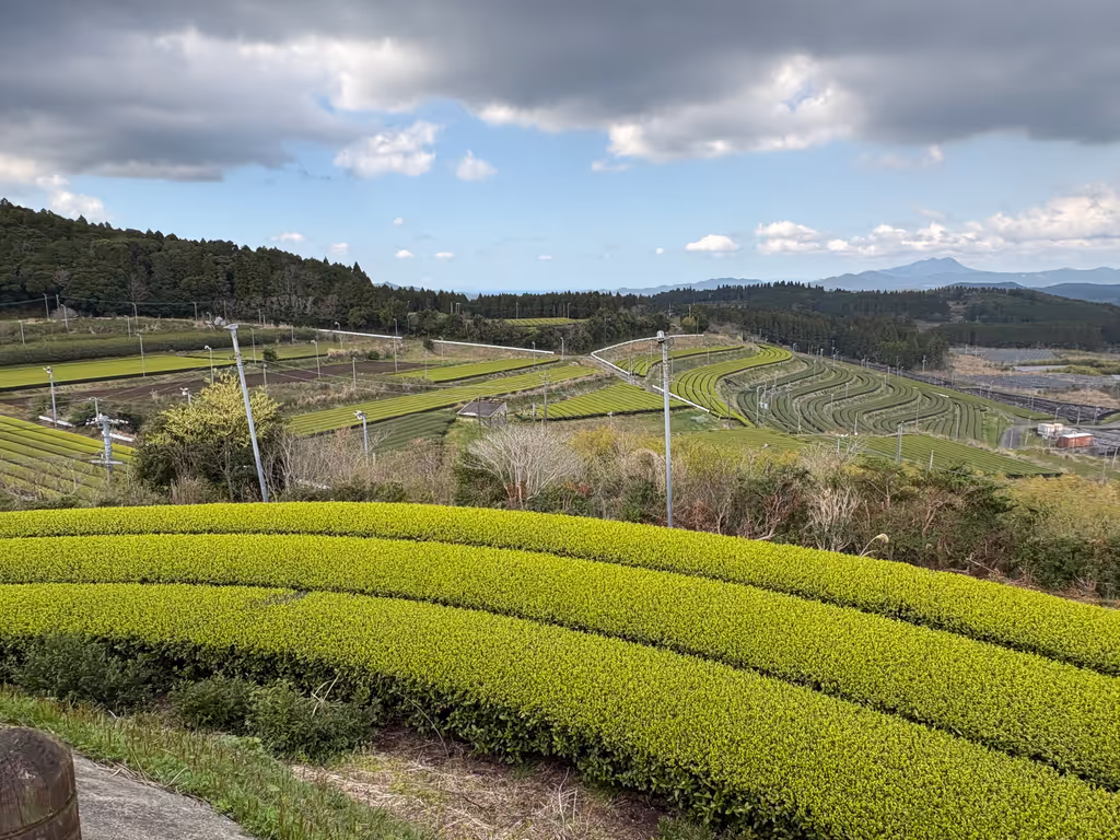 Kagoshima Private Tour - 