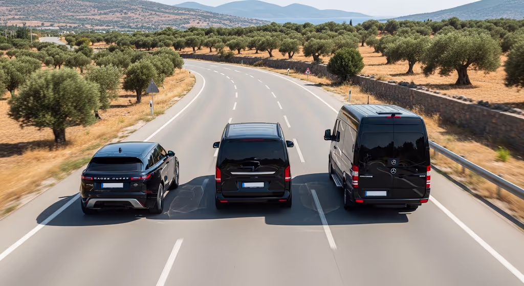 Mugla Private Tour - Chauffeur-guided coastal discovery