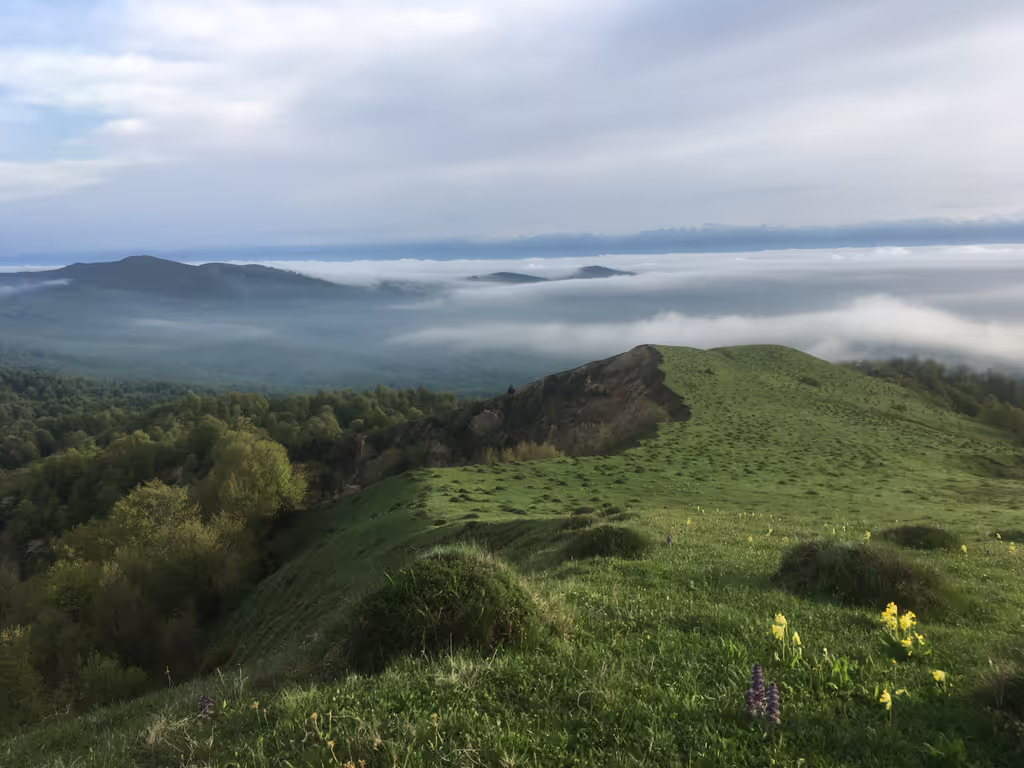Tbilisi Private Tour - Gombori Range