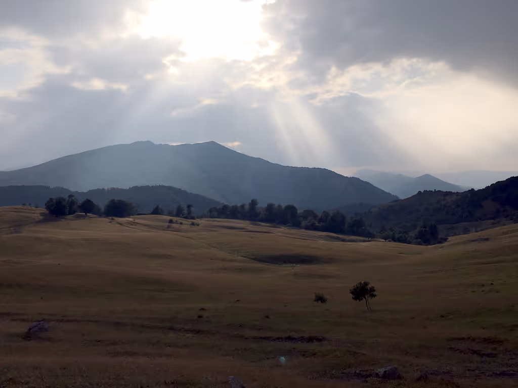 Tbilisi Private Tour - Algeti National Park