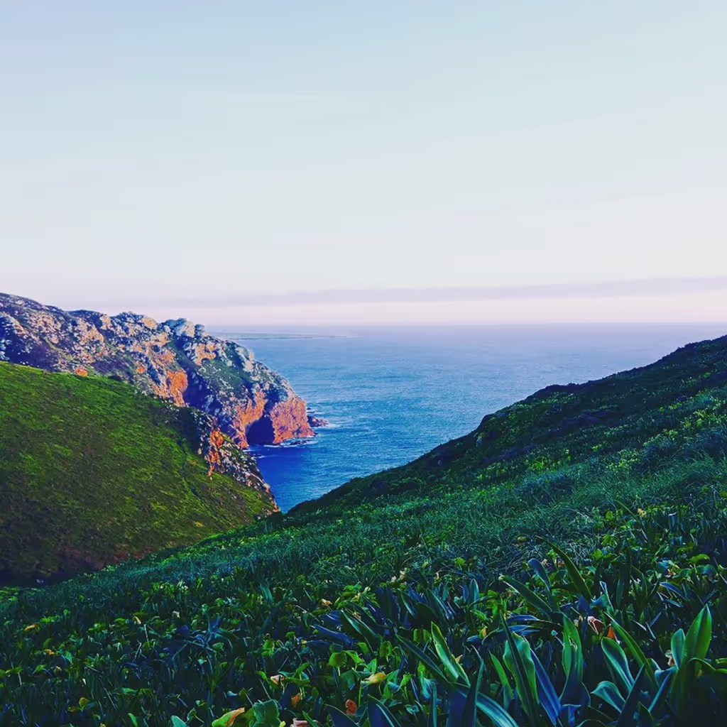 Sintra Private Tour - 