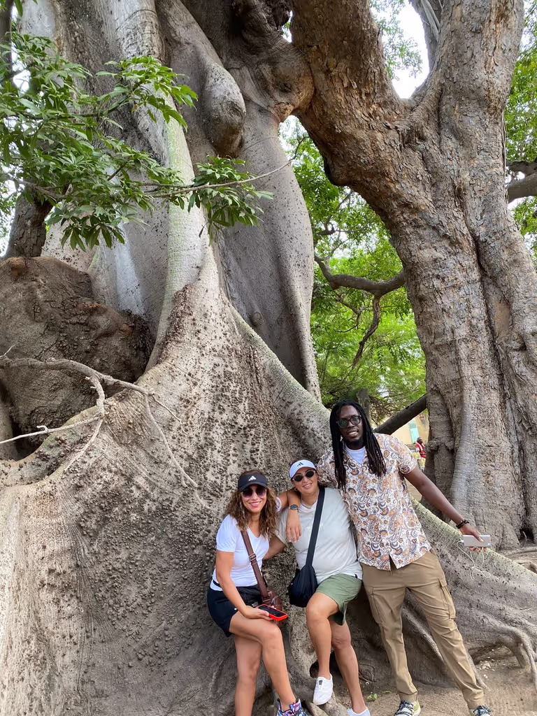 Dakar Private Tour - Baobab Tree