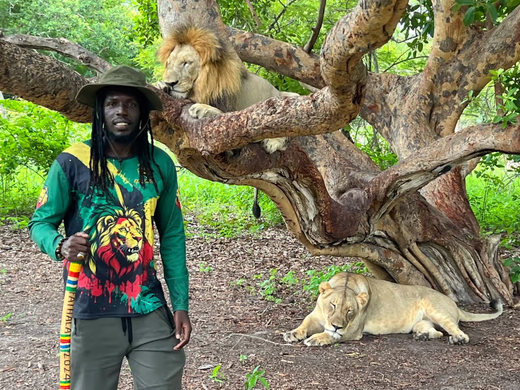 Dakar Private Tour - Fathala Reserve