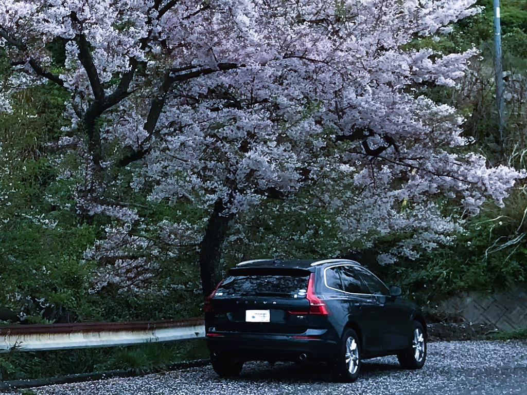Yokohama Private Tour - My Volvo