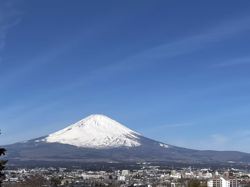 Yokohama Private Tour - Mount Fuji