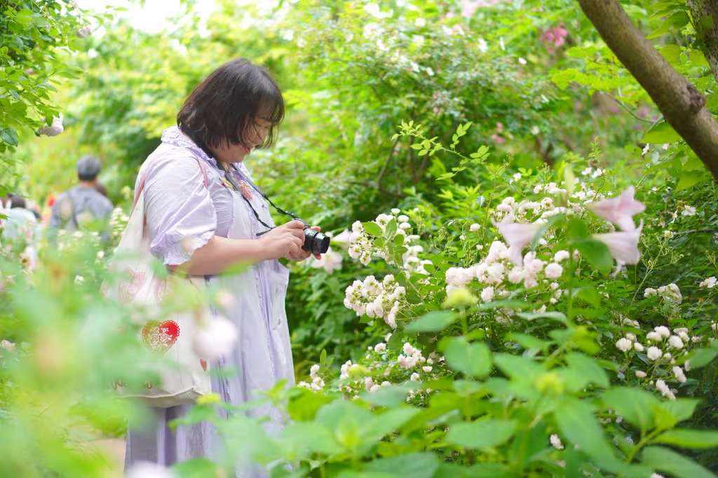 Toyama Private Tour - I love my Fujifilm's camera. If you would like, I take pictures of you during the tour.