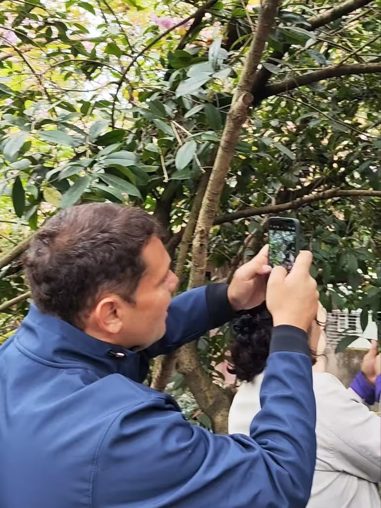 Chengdu Private Tour - 