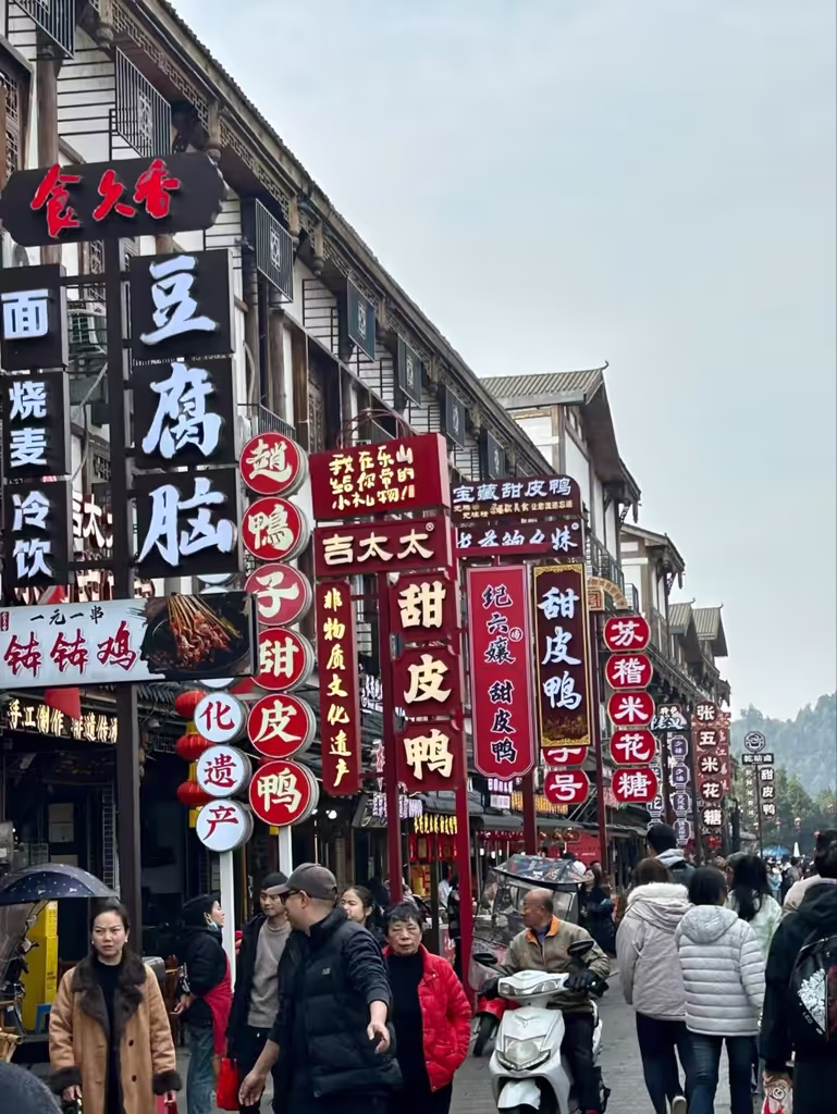 Chengdu Private Tour - 