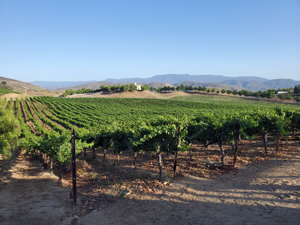 Los Angeles Private Tour - 