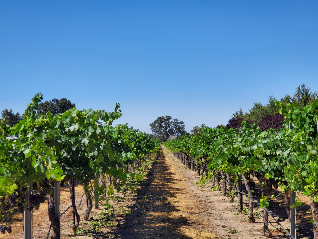 Los Angeles Private Tour - 