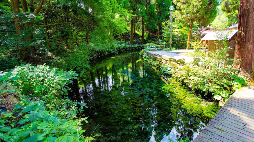 Fukuoka Private Tour - Aso, Shirakawa Water Source