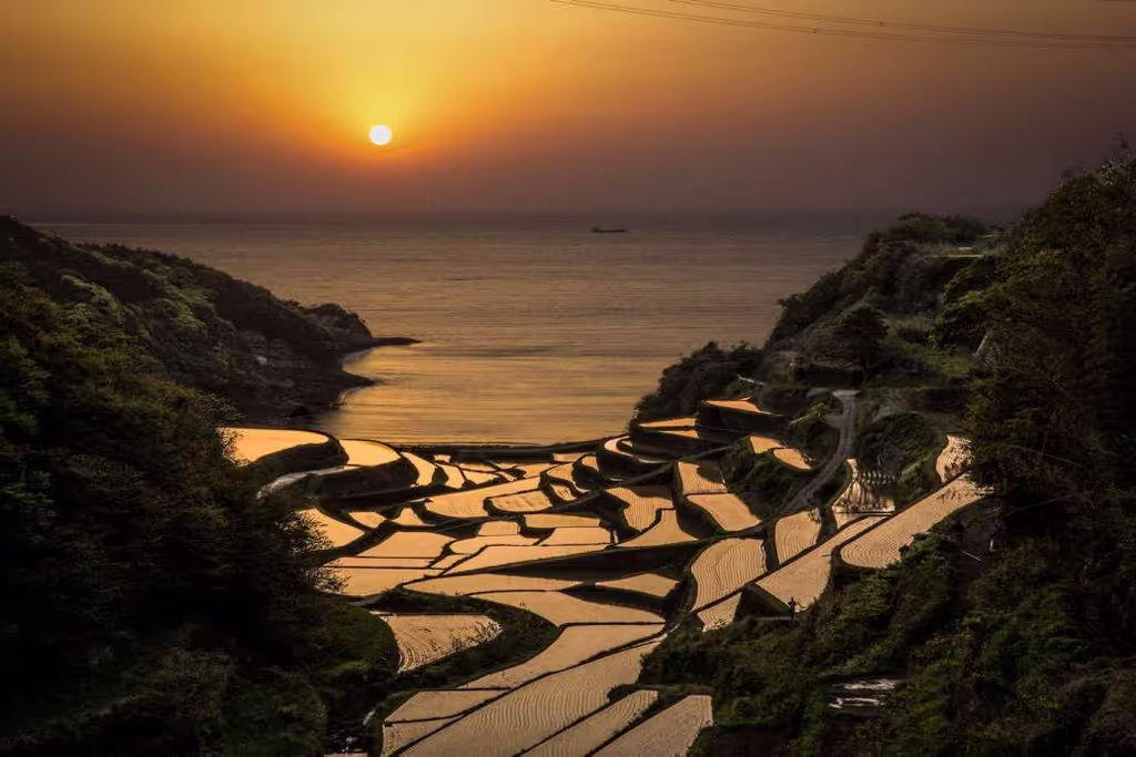 Fukuoka Private Tour - Saga, Rice Terrace