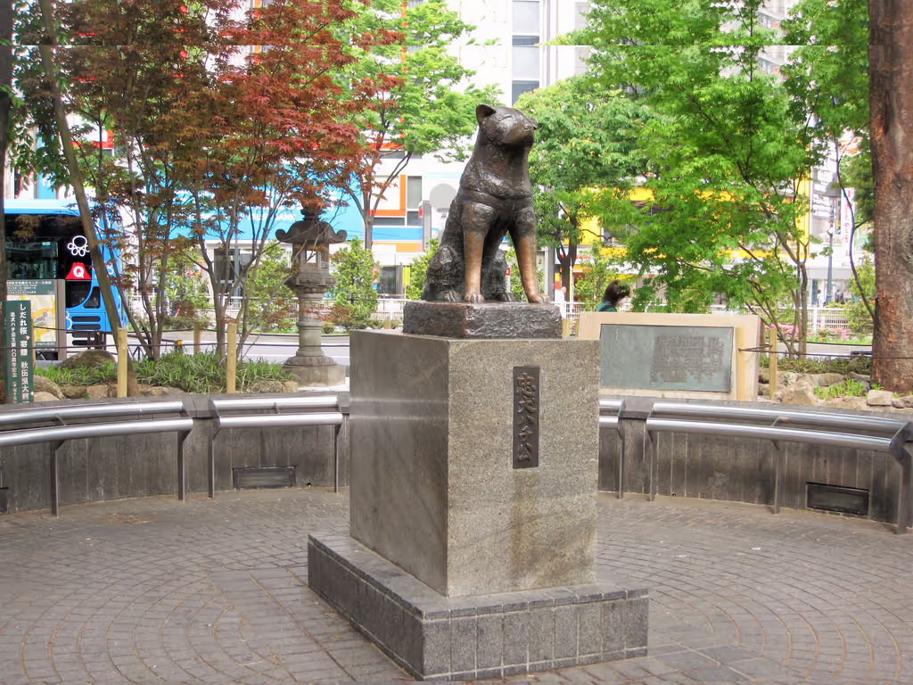 Tokyo Private Tour - Hachi dog statue