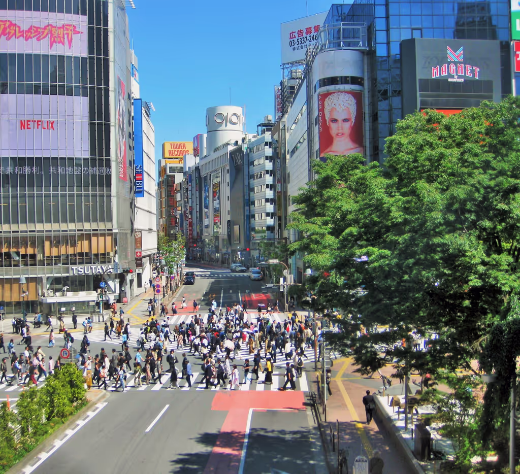Tokyo Private Tour - Shibuya Crazy Crossing