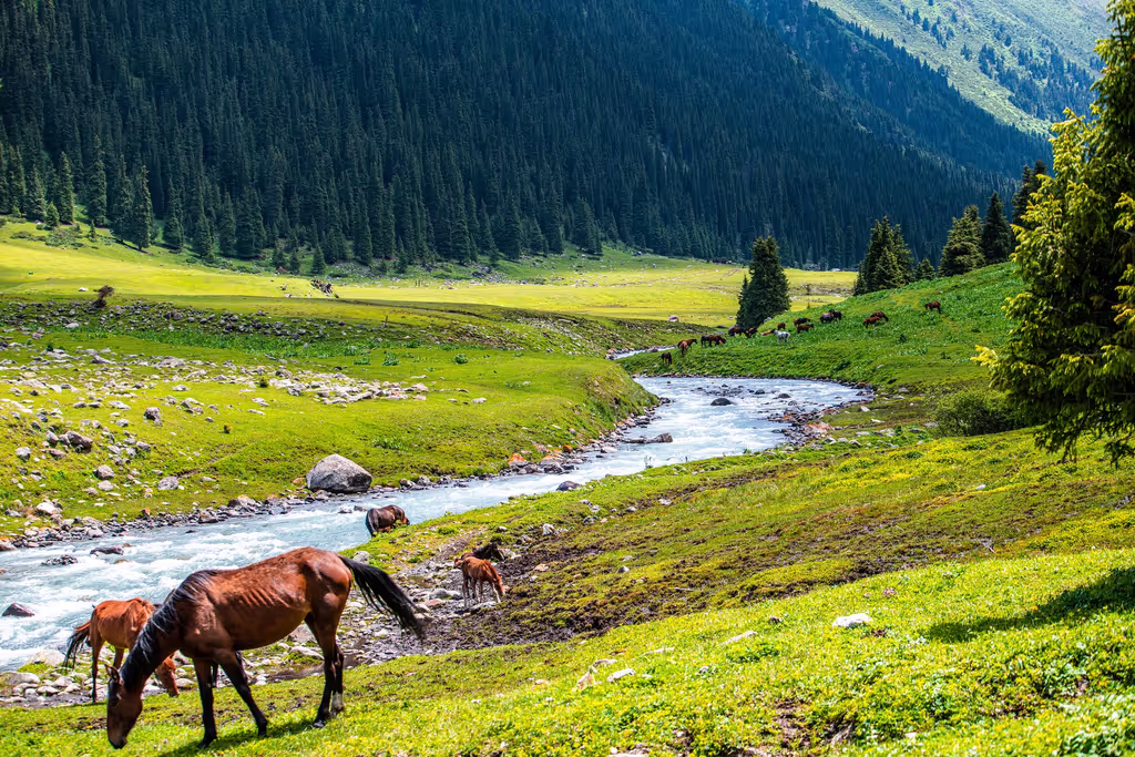 Issyk-Kul Private Tour - 
