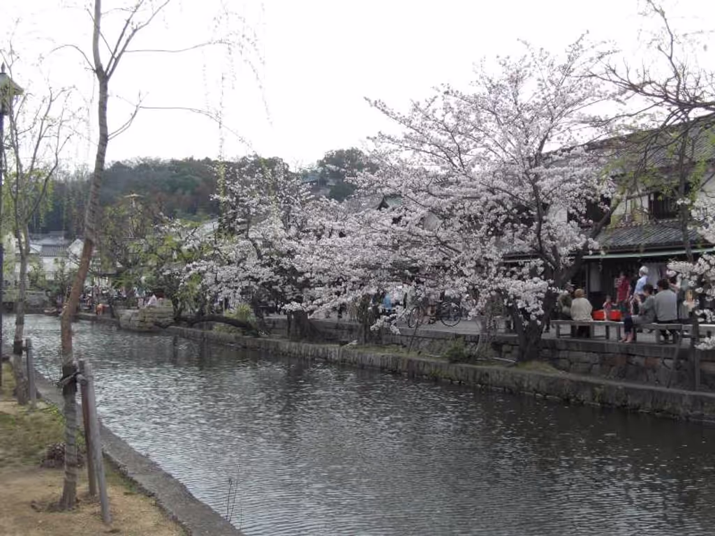 Fukuoka Private Tour - Karashiki river