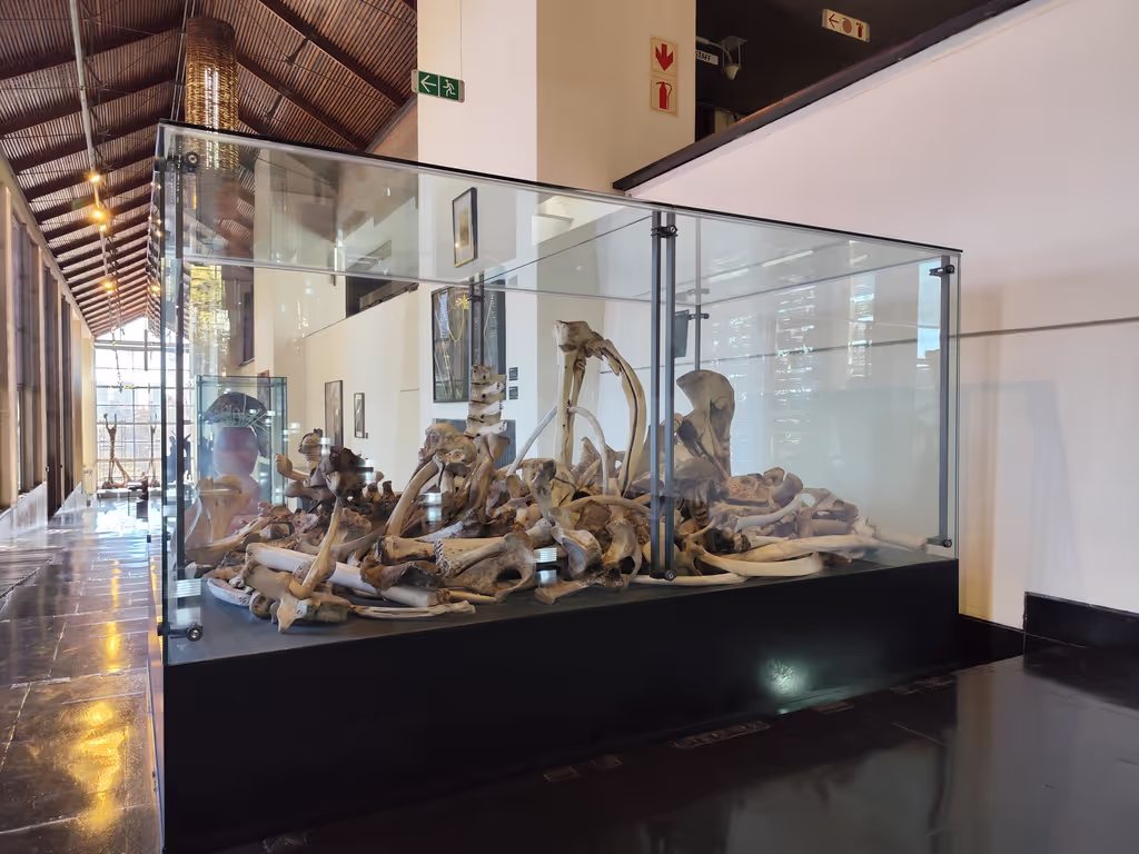 Gauteng Private Tour - The Constitutional Court Art gallery