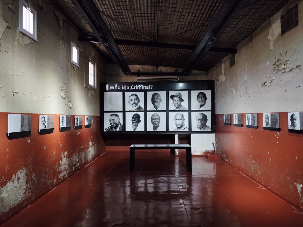 Gauteng Private Tour - Who is criminal