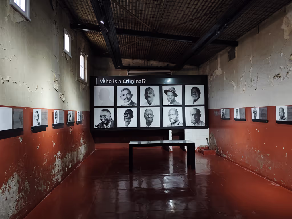 Gauteng Private Tour - Who is criminal