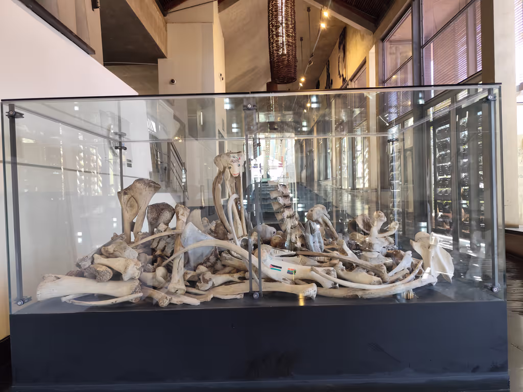 Gauteng Private Tour - The Constitutional Court Art gallery
