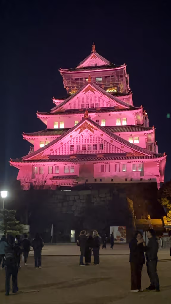 Osaka Private Tour - 