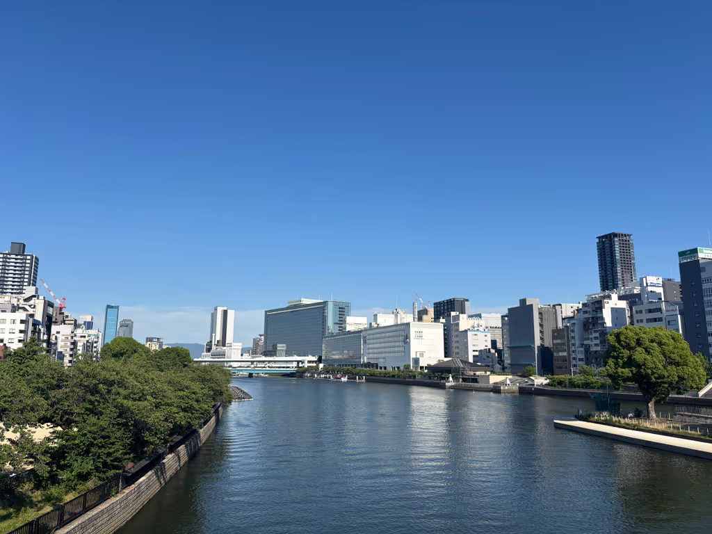Osaka Private Tour - 
