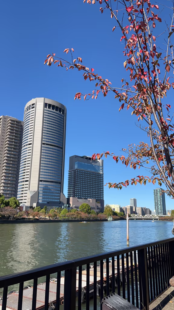 Osaka Private Tour - 