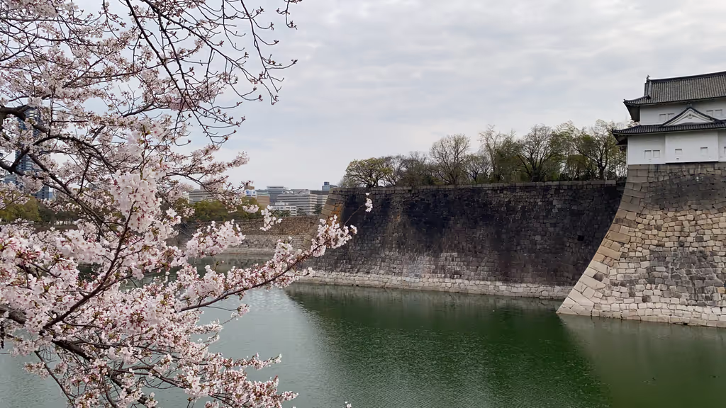 Osaka Private Tour - 