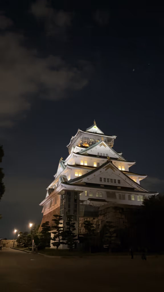Osaka Private Tour - 