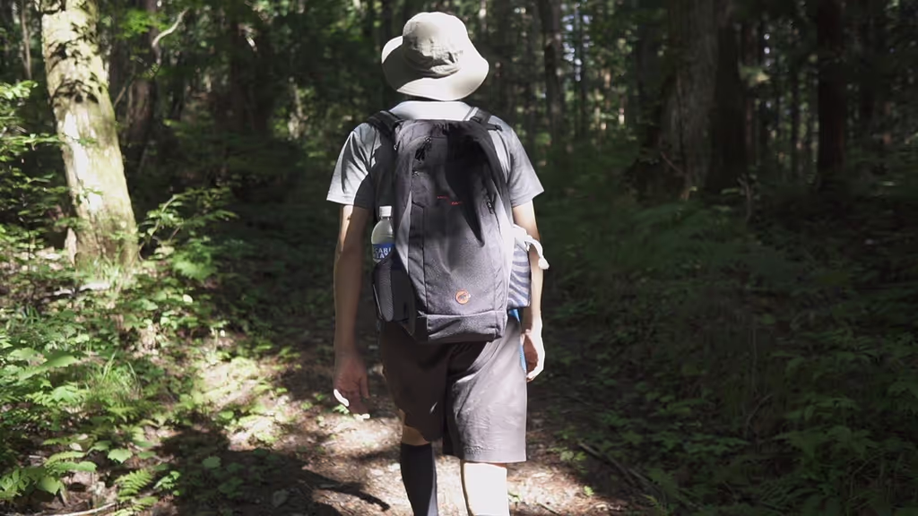 Aomori Private Tour - 