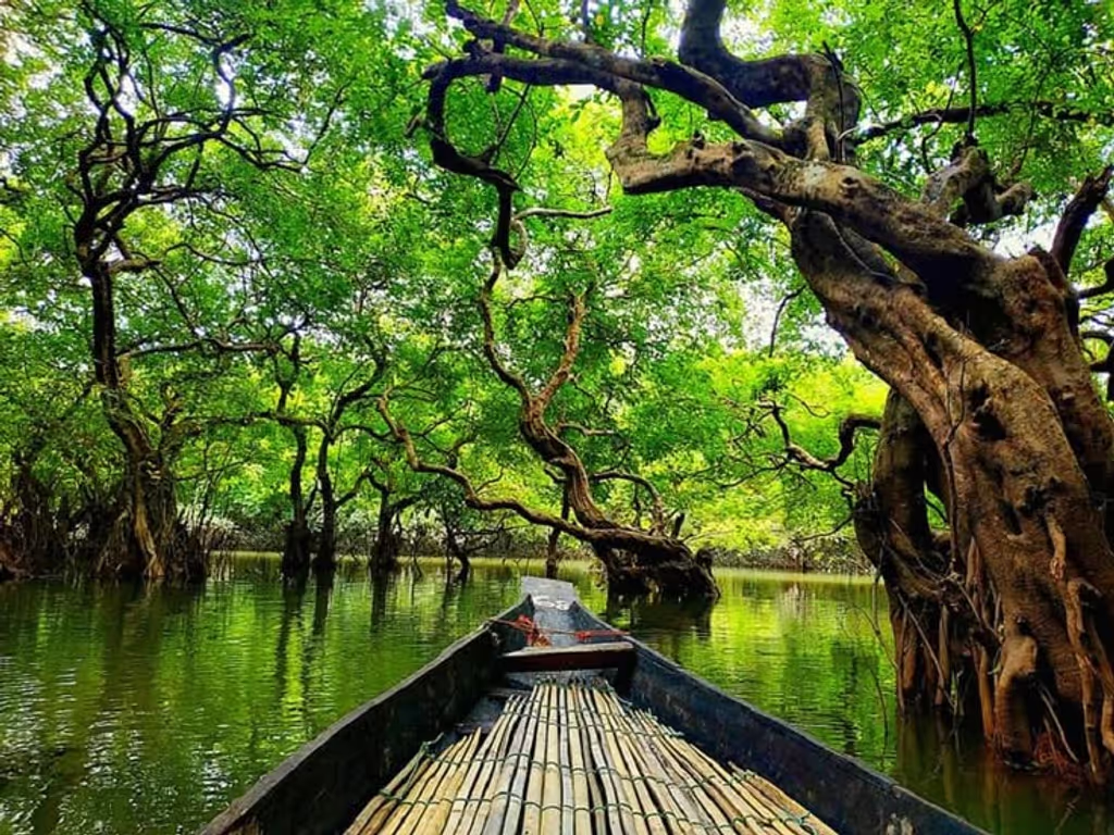 Dhaka Private Tour - 