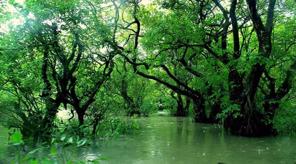 Dhaka Private Tour - 
