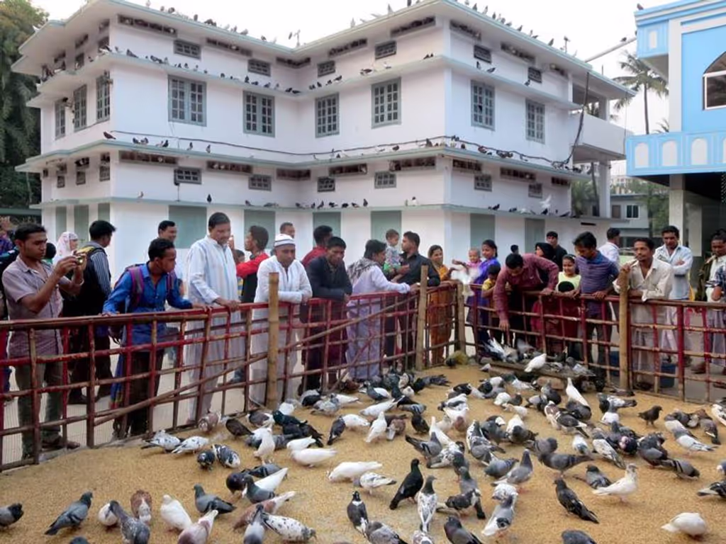 Dhaka Private Tour - 